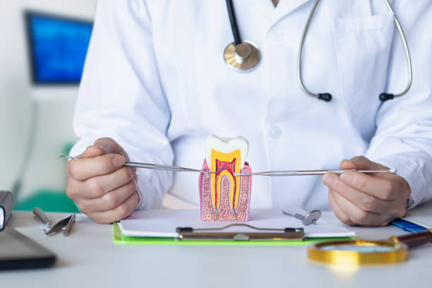 Best Cosmetic Emergency Dentistry in Spring Hill, KS
